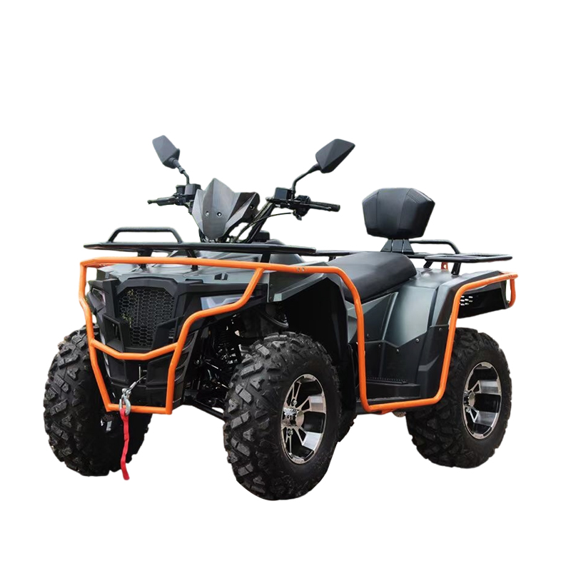 Adult Off-Road Large Quad Bike ATV