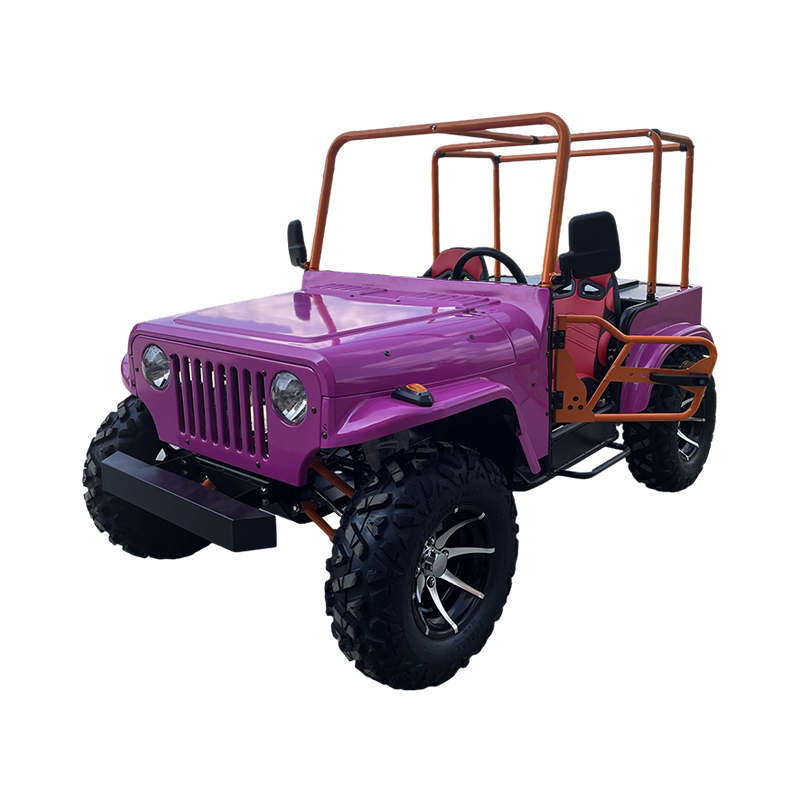 Leisure Mini Convertible Jeep UTV With Guardrail
