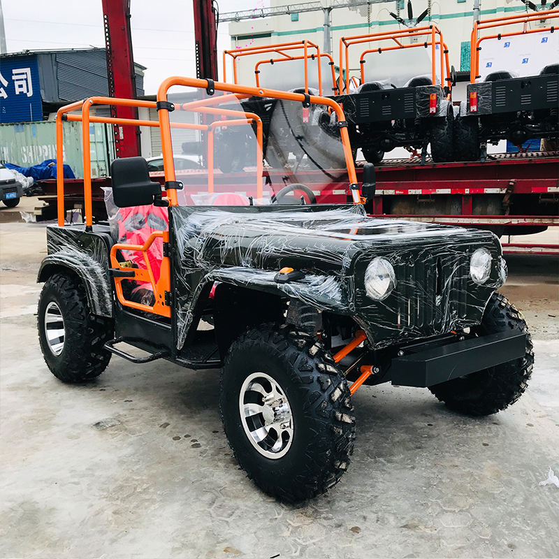 Leisure Mini Convertible Jeep UTV With Guardrail