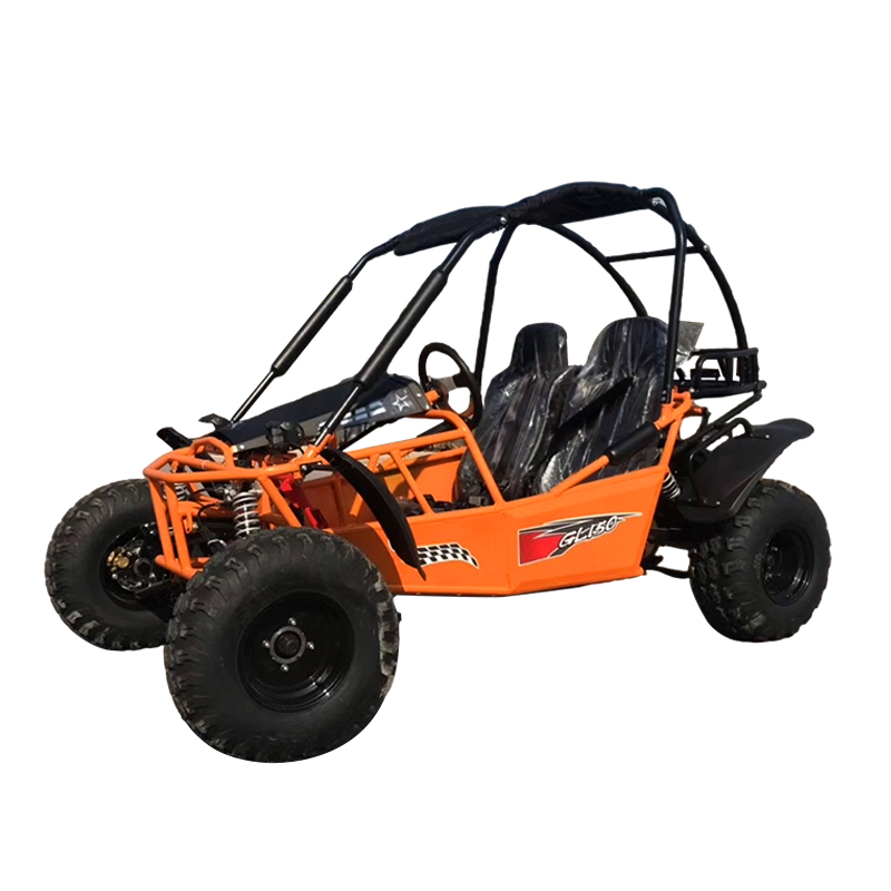 Multifunctional Suitable For Adults Petrol Powered UTV