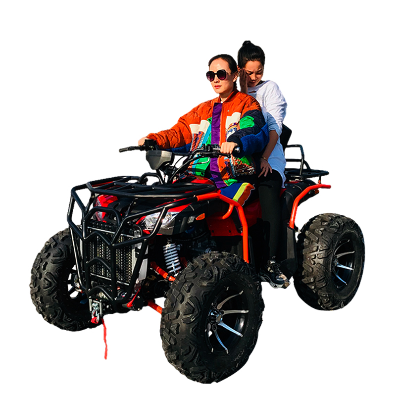 Powerful Variable Speed All Terrain ATV