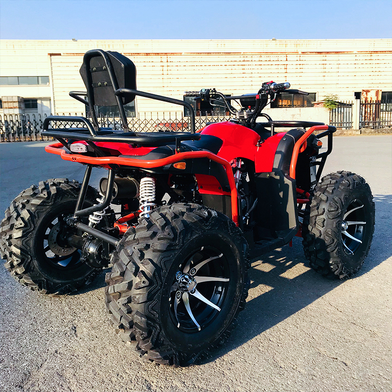 Powerful Variable Speed All Terrain ATV
