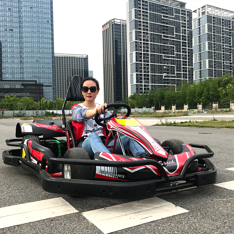 Competition High Speed Multiple Colors Go-Kart