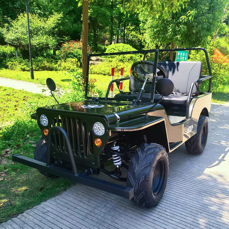 Electric Jeep Small Entertainment And Leisure Vehicles
