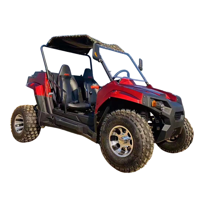Multifunctional Side-By-Side Off-Road UTV For Adults