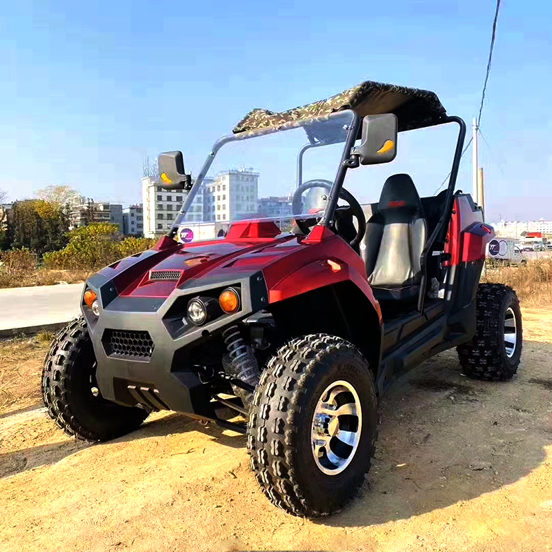 Multifunctional Side-By-Side Off-Road UTV For Adults