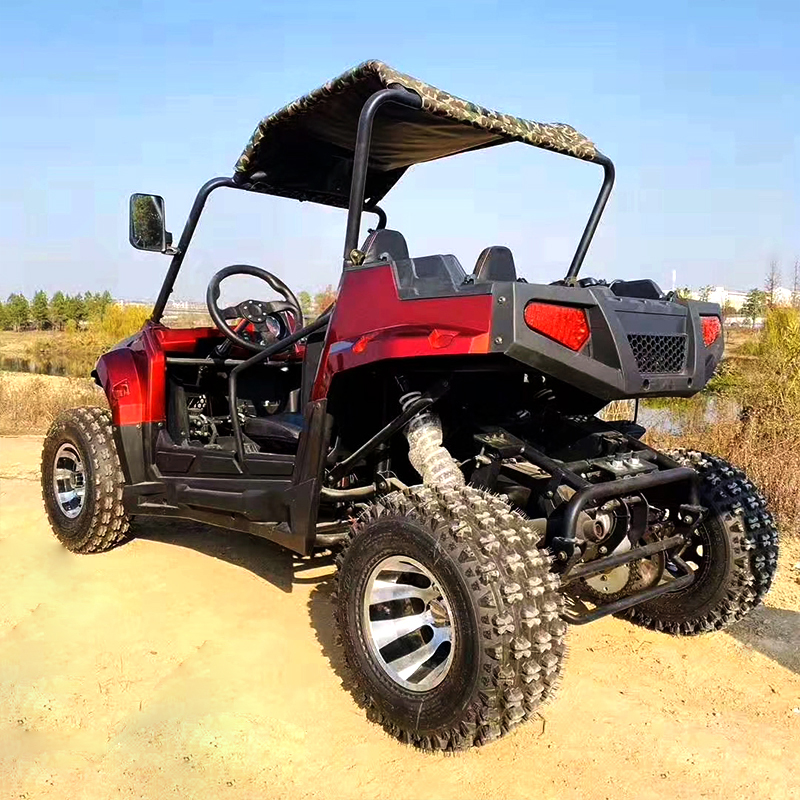 Multifunctional Side-By-Side Off-Road UTV For Adults
