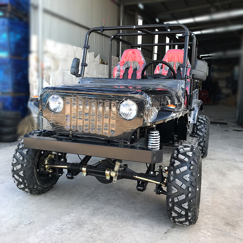Recreational All Terrain Jeep UTV With Rearview Mirror
