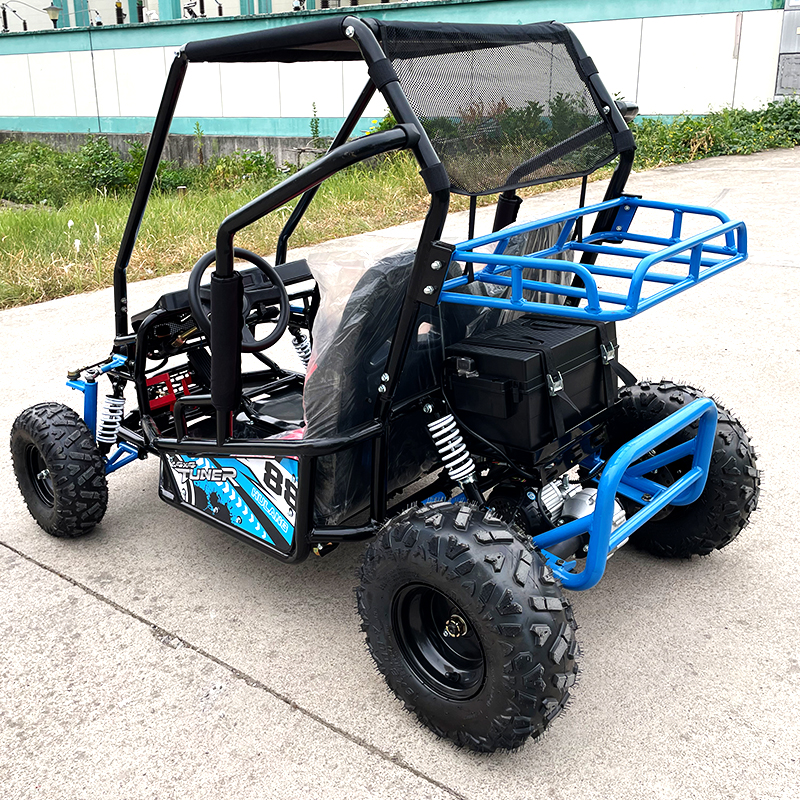 Two-Seater Parent-Child Go-Kart With Roof