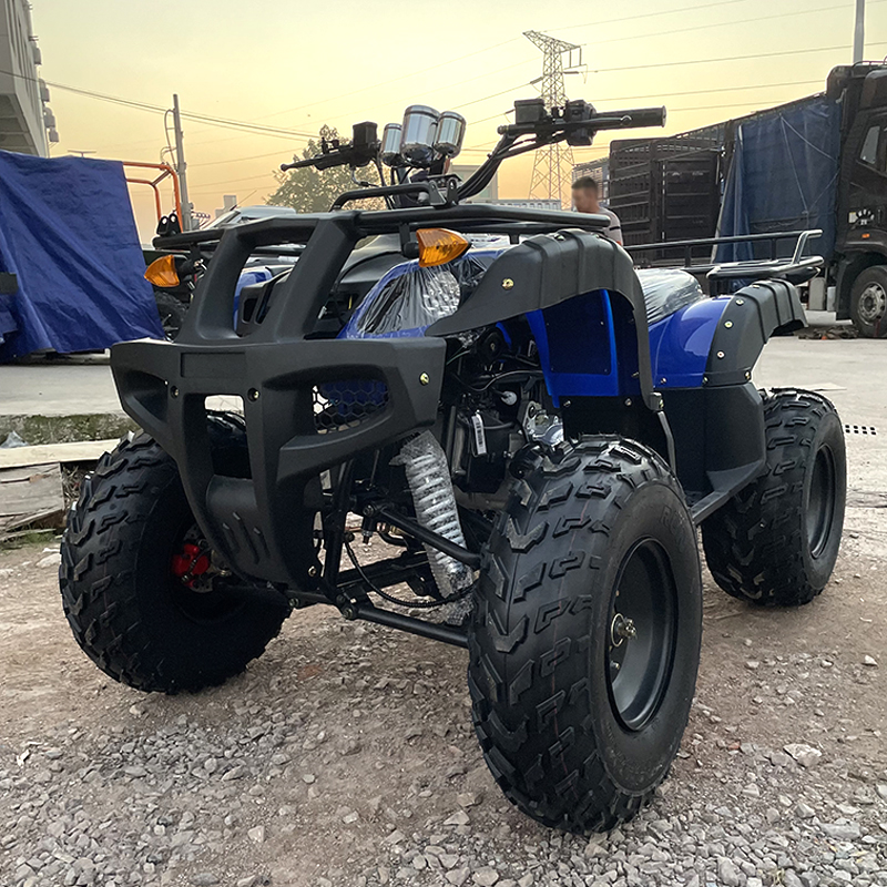 Large Shock-Absorbing Can Seat Two People ATV
